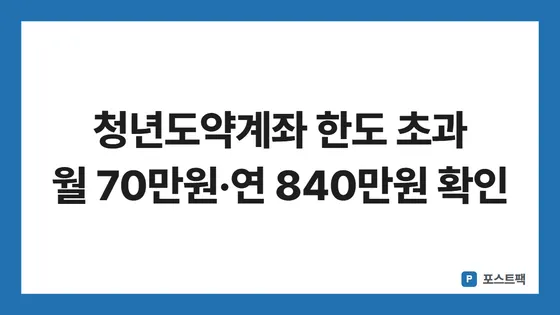 청년도약계좌 표지: 청년도약계좌 한도 초과 월 70만원·연 840만원 확인