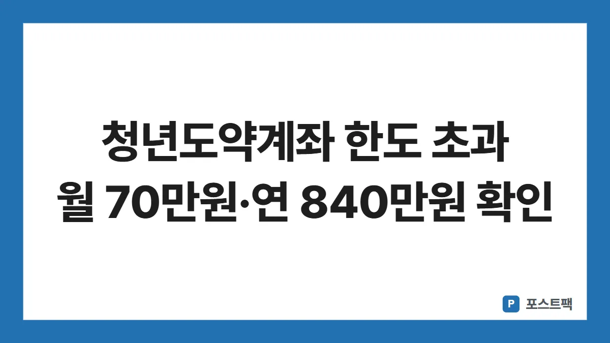 청년도약계좌 표지: 청년도약계좌 한도 초과 월 70만원·연 840만원 확인