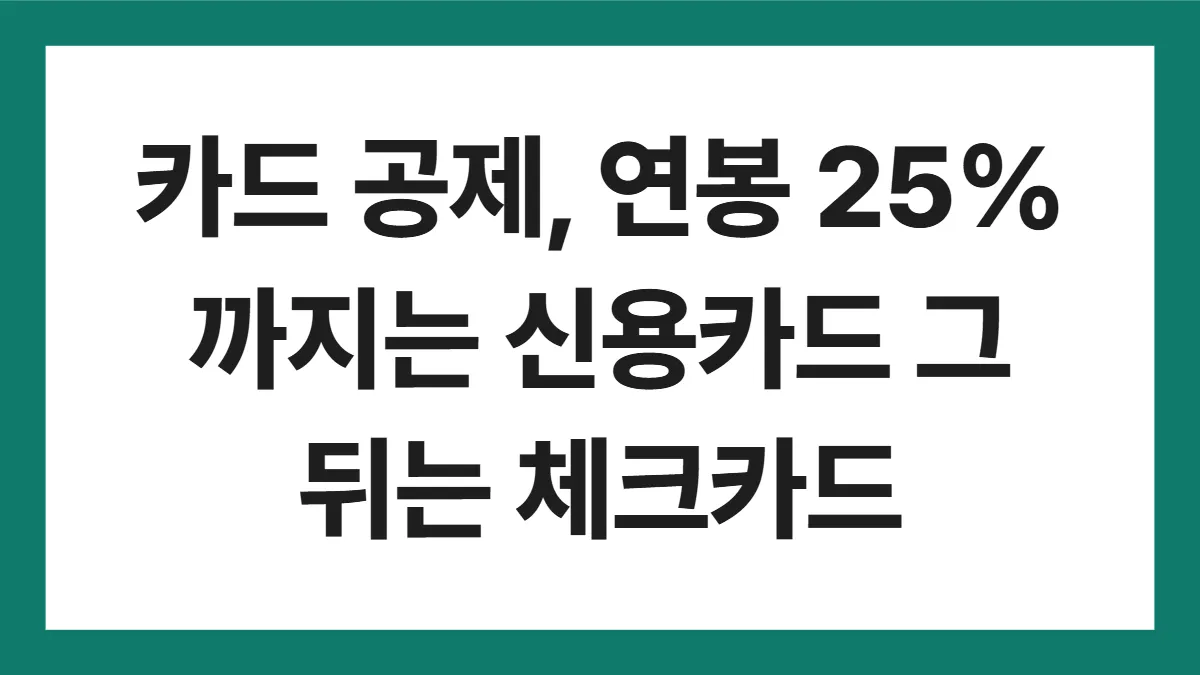 신용카드 소득공제 표지: 카드 공제, 연봉 25%까지는 신용카드 그 뒤는 체크카드