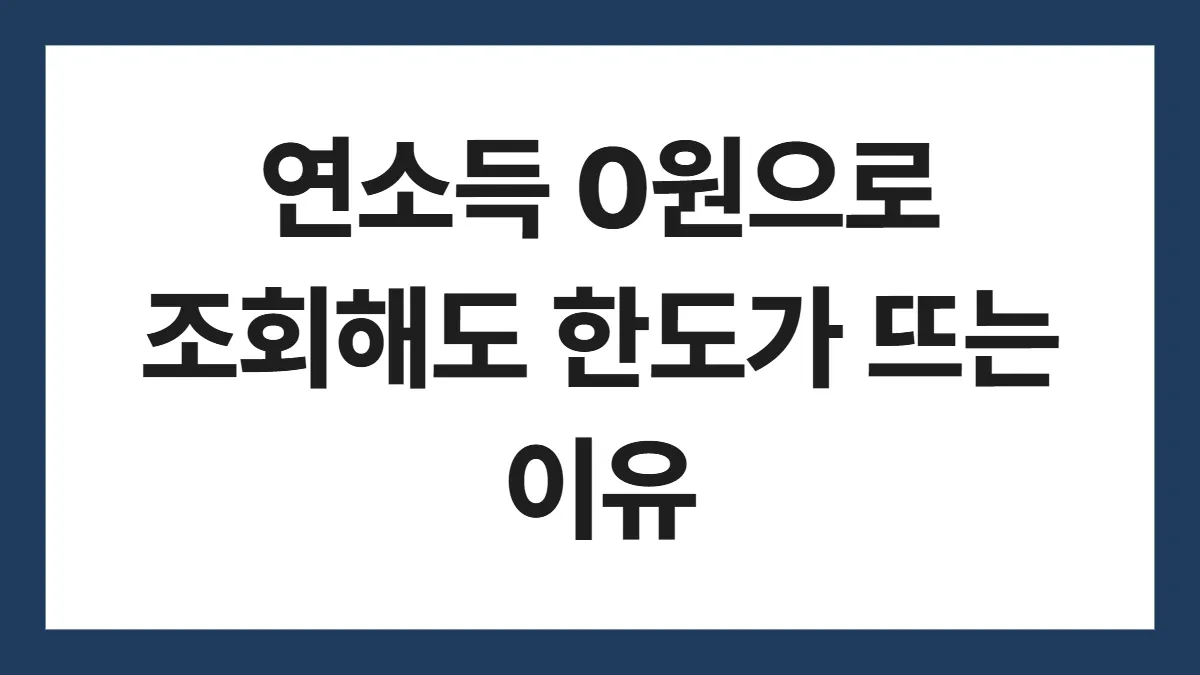 연소득 0원으로 조회해도 한도가 뜨는 이유